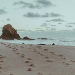 亚洲AV永久无码浪潮AV 2cnm9lmz