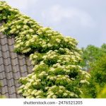 国产成人福利AV综合导航 2re2xou052