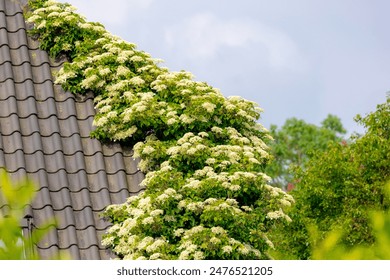 国产成人福利AV综合导航