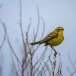 第章给岳m按摩 3xd4c752j