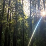 小草视频免费的 cjoed