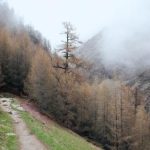 亚洲A∨国产AV在线播放一区 cslo9gv