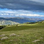 国产无内肉丝精品视频 f34fzk906