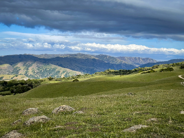 国产无内肉丝精品视频