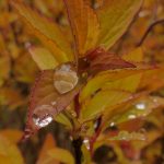 日本不卡在线观看播放 ilerm