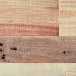 国产成人综合野草 mgitl