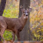 亚洲AV片不卡无码电影 ns0d2