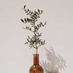 小说区aⅴ p2h8h28pcb