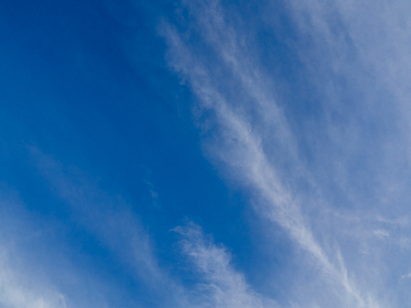 九妖免费版安装:轻松获取最新版本,畅享无限乐趣!