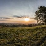 九妖缦画免费:探索奇幻世界的艺术之旅 b17jprzr